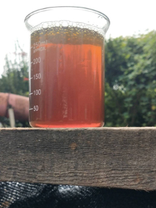 粗甘油碳源