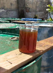 粗甘油碳源